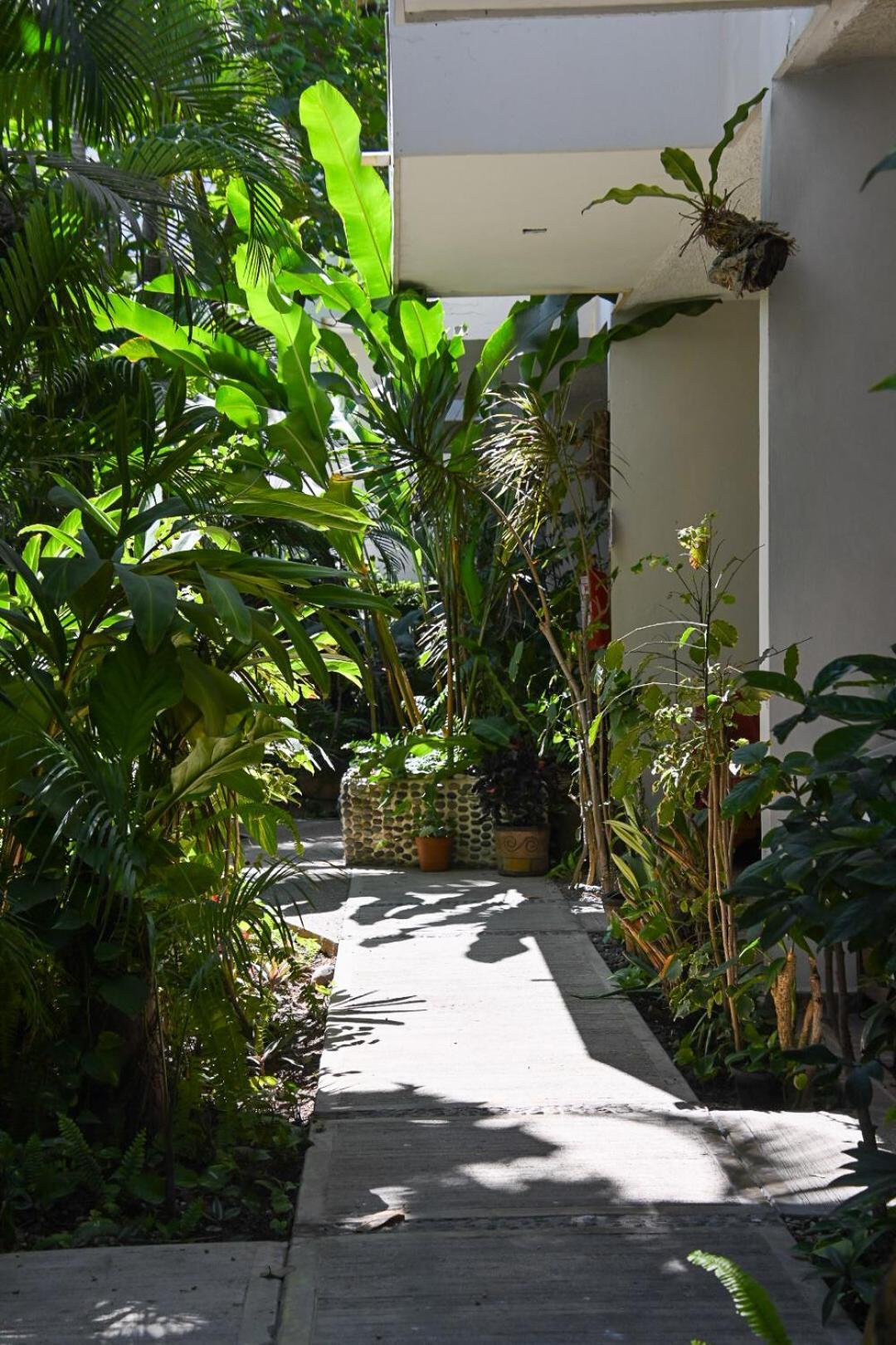 Hotel Palmeras Bucerias Exterior photo