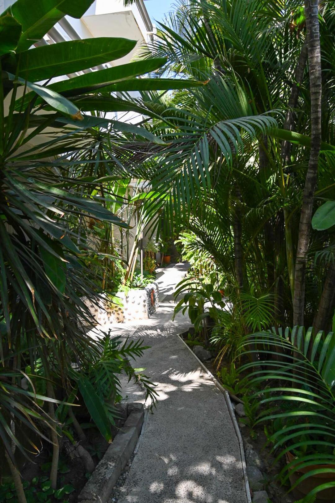 Hotel Palmeras Bucerias Exterior photo